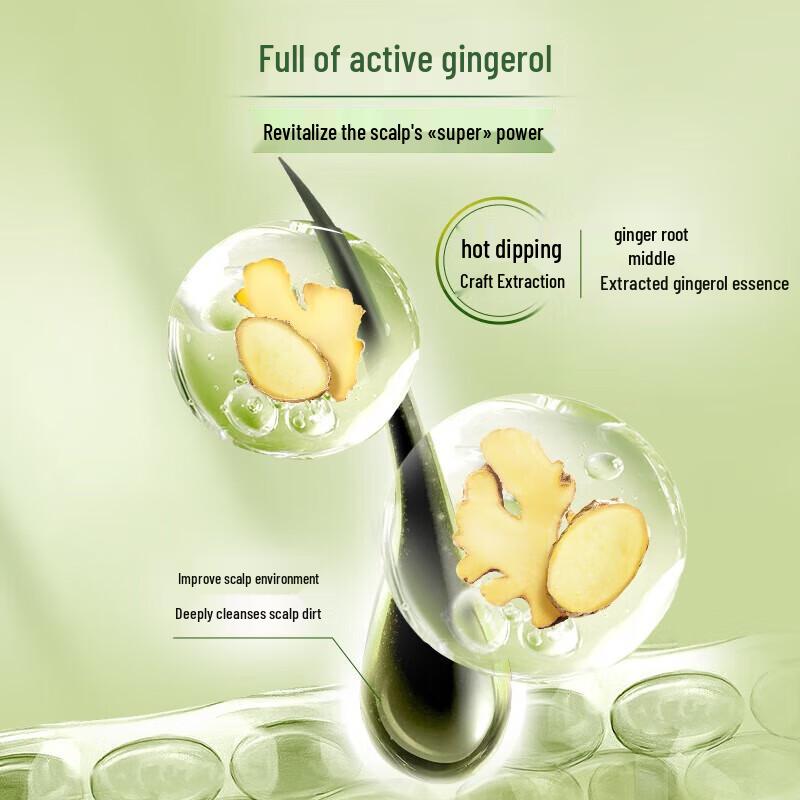 Schwarzkopf Ginger Essence Oil Control Shampoo