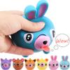 Cute Animal Squeeze Balls Adult Child Stress Relief Toys Soft Rebound Toys Soft Cute Tiger Pig Dog Great Gifts for Kids