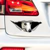 White Whippet Car Bumper Window Stickers For Car Truck Van Fashion Decals Vinyl Material Stickers