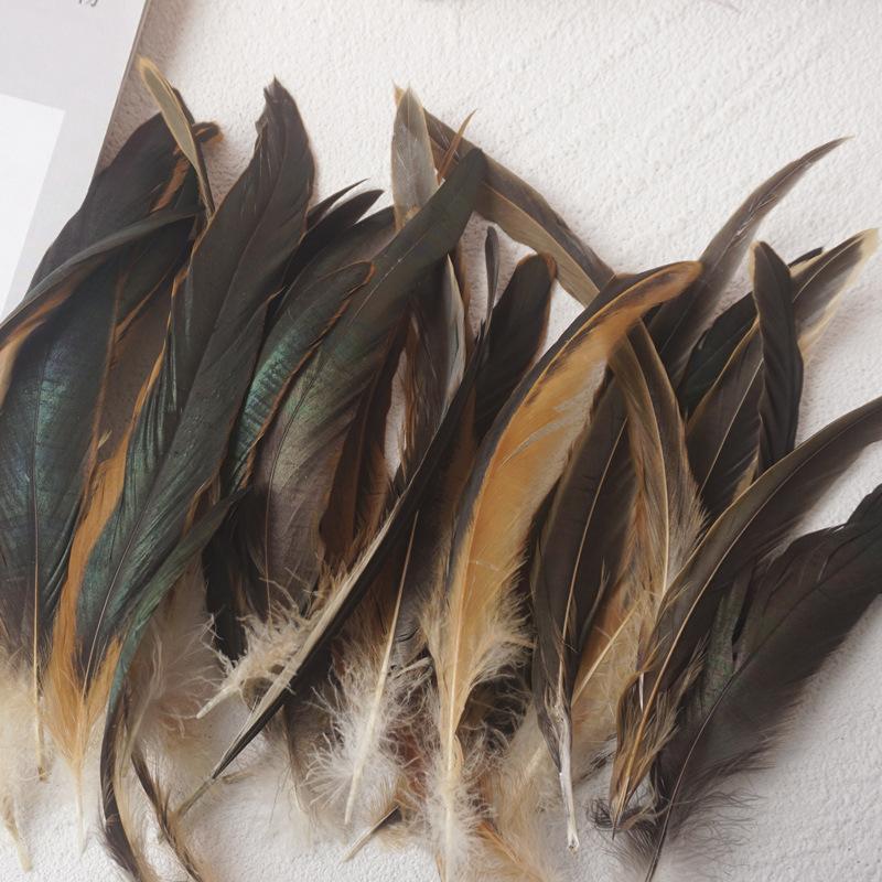 50Pcs Colorful Cock Tail 20-25Cm Stage Performance Mask Headdress Diy Decorative Material Tease Cat Stick Cat Toy Feather