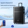 Портативная тележка Bluetooth-колонка Newmine N529, 15 дюймов, штекер CN (адаптер в комплекте)