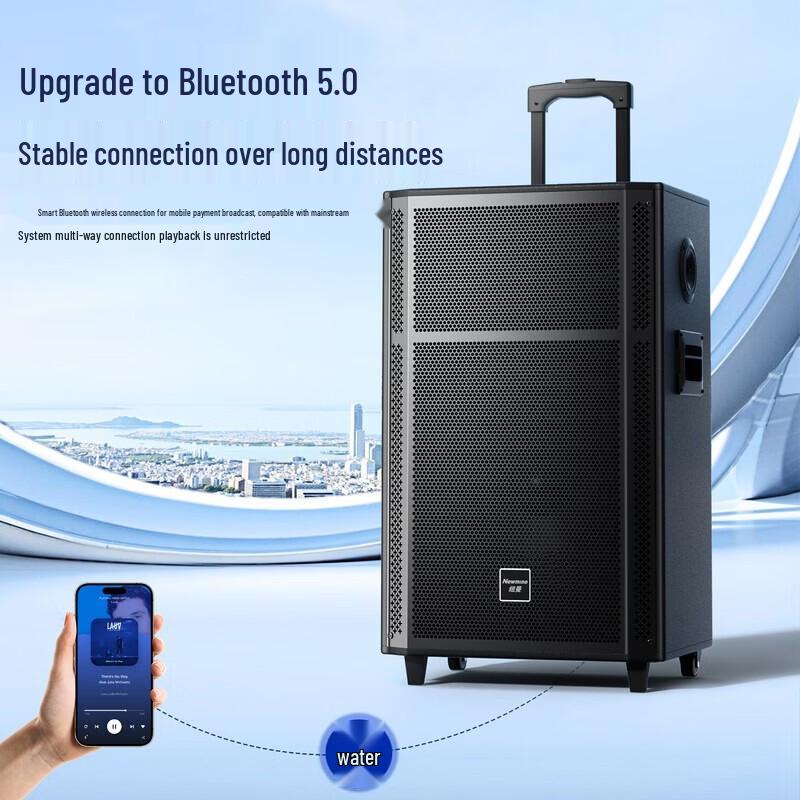 Портативная тележка Bluetooth-колонка Newmine N529, 15 дюймов, штекер CN (адаптер в комплекте)