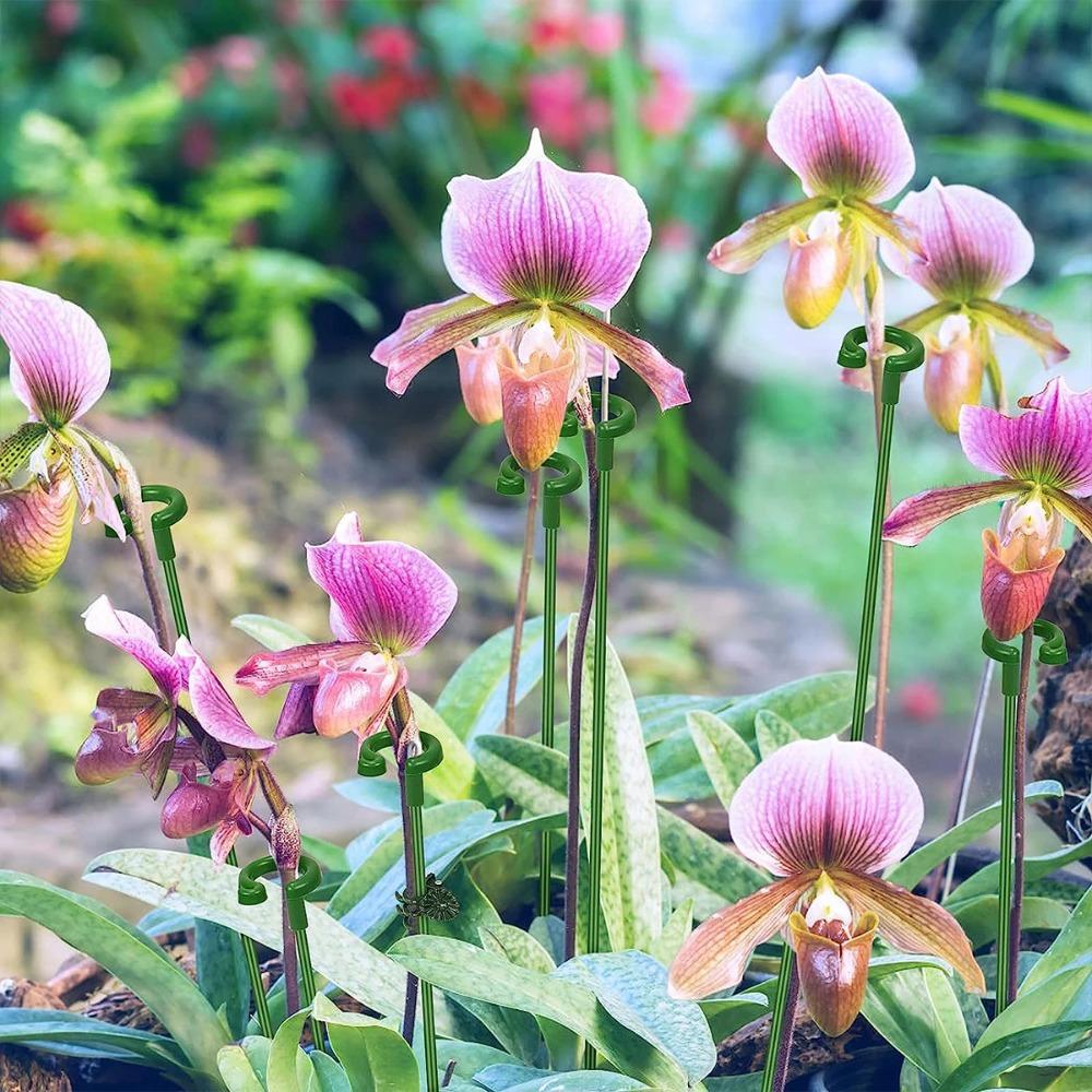 10 шт. многоразовые бабочки орхидеи горшки фиксирующие стержни пластиковый держатель для цветов столб для внутреннего и наружного использования