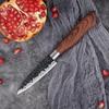 Kitchen Knife Fruit Knife Chef Knife Japanese Style High Carbon Stainless Steel