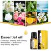 3 шт., 10 мл, набор водорастворимых ароматерапевтических масел, эфирное масло высокой концентрации для увлажнителей, диффузоров