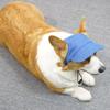 with Ear Holes Dog Sun Hat Adjustable Pet Visor Hat Handsome Summer Cat Cap  Photo Prop