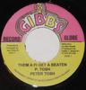 7-дюймовая пластинка PETER TOSH Them A Fi Get A Beaten NONE Joe Gibbs Recor Ямайка Регги Ска Даб Б/у