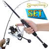 Набор удочек, спиннинговая удочка, катушка для путешествий, портативный комплект рыболовных снастей, пресноводная соленая вода