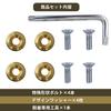 EVOLVERACING Anti-theft Bolt Set for License Plate Specific Vehicle Inspection (Gold Bolt Length 0.6 inch (15 mm)