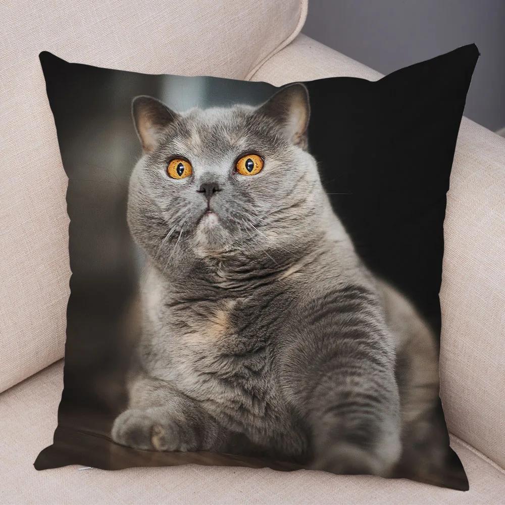 Русская голубая Британская короткошерстная Наволочка Декор Милый кот Домашнее животное Животное Наволочка Мягкий плюшевый Чехол для подушки для машины Дивана Дома