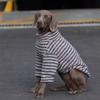 Winter Warm Dog Sweater Thickened Dog Two-Leg Tops Comfortable Fit Dog Jumper  Medium Large Dogs