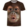 2024 Baby Clothes Short Sleeve Children's Clothing One Piece Boys Clothes Monkey Graphic T Shirts Casual Children Summer Clothes