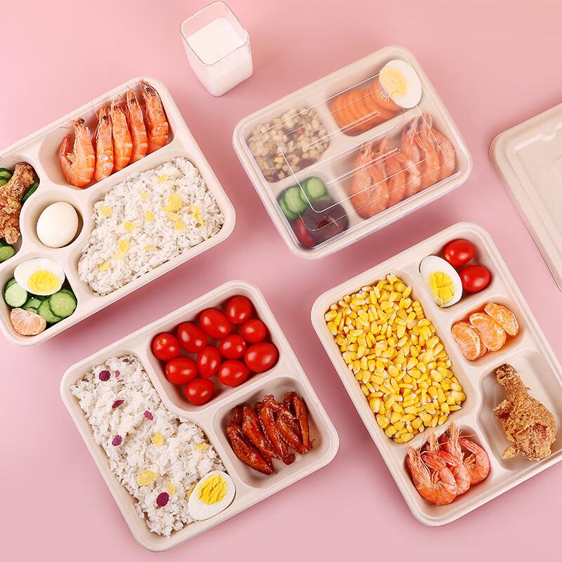 MOLUONA Disposable 3-Compartment Pulp Food Containers