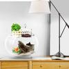 3-in-1 External Filter Box High Transparency Water Circulation Acrylic Fish Tank Top Filter Silent Waterfall Edge Hole