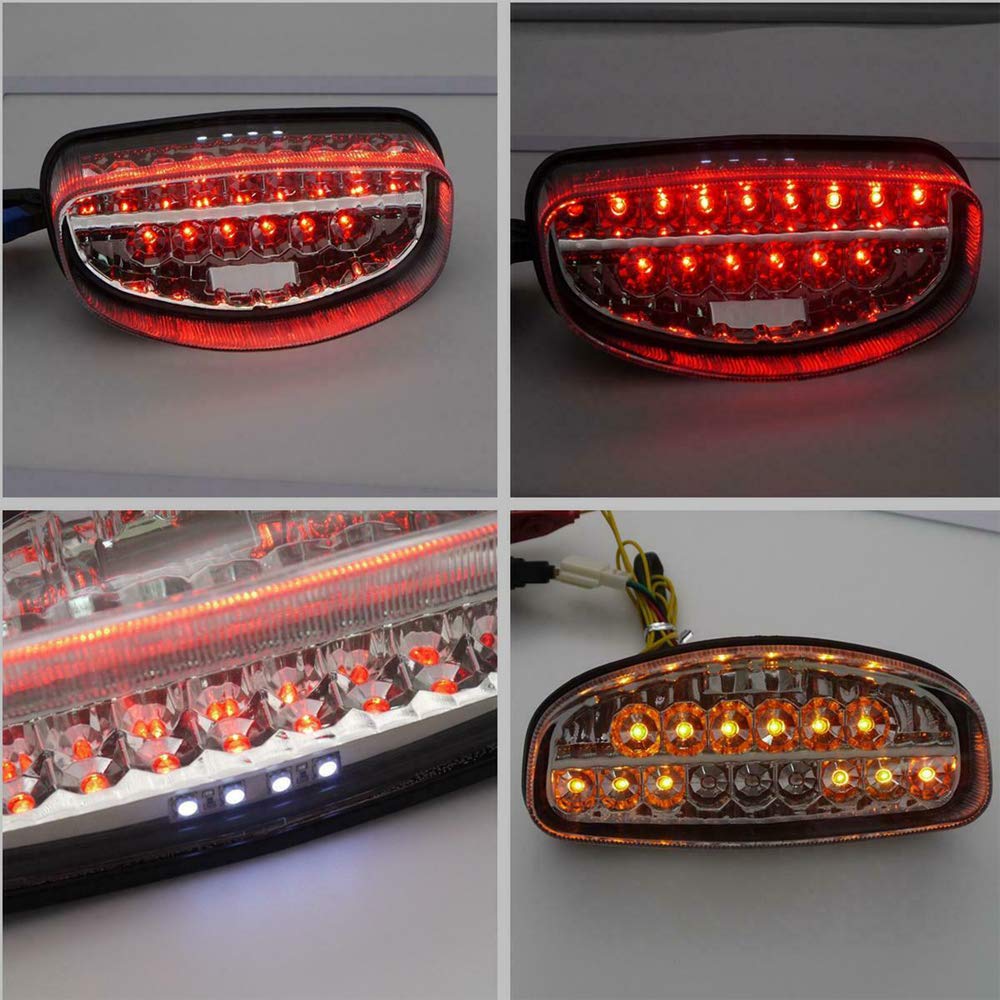 YUANYE Motorcycle Integrated Tail Light with Turn Signals and Brake Light for Honda CBR1100XX Hornet 250 (1997-1998) and 600 (1998-2003) (Transparent)