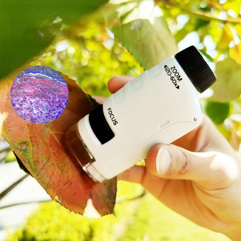 Комплект ручного микроскопа со светодиодной подсветкой 60X-120X для домашней школы, биологических наук, обучающих игрушек