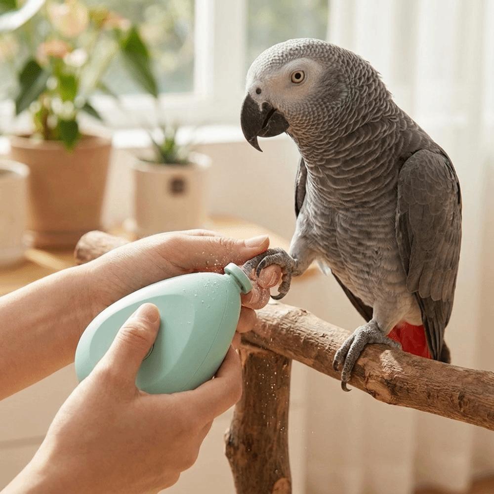 Portable Electric Parrot Nail Trimmer with 4 Polishing Heads Bird Nail Cutter Pet Grooming