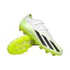 Adidas Мужские кроссовки X Crazyfast.2 MG Crazyrush Pack White Cloud-White Core-Black ID9332