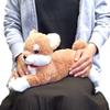 SunLemon Shiba Inu Lap Dog Plush Toy, Beige, Small, 24x9x30cm, P-3052