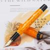 Jinhao 100 Classic Fountain Orange Marble Medium with Converter and Pen Case Set (Jinhao) Pen, Celluloid, Nib,
