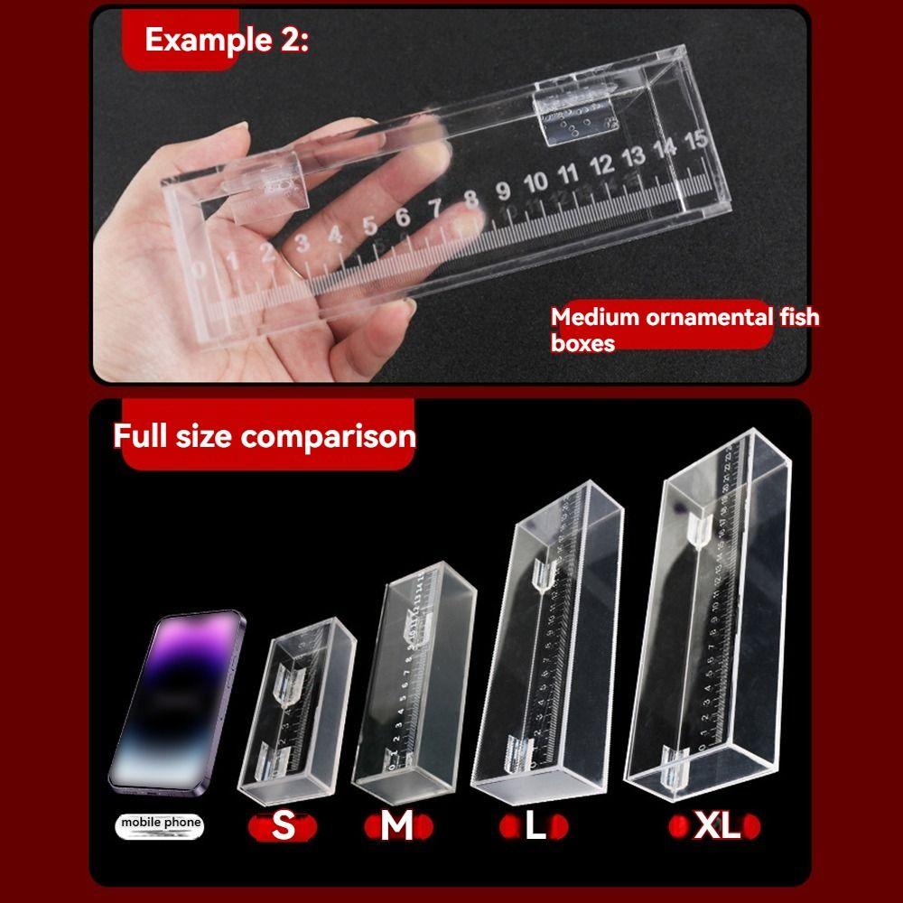 Transparent Fish Viewing Box Micro Landscape Mini Desktop Goldfish Bowl Dustproof Broken Resistant Fish Breeding Tanks