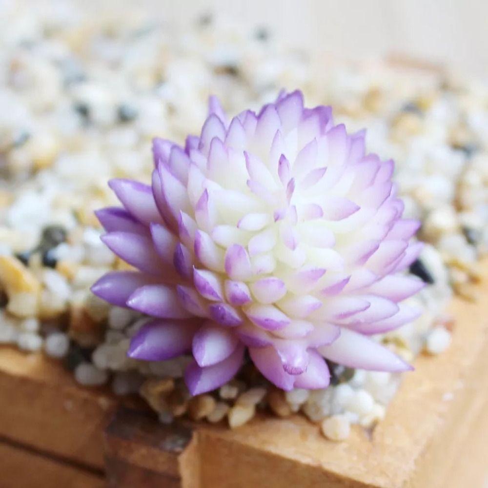 2 шт. Сделай сам Искусственные Суккуленты Мини Имитация Цветочных Растений Сад