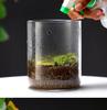 Dew Collection Mini Ecosystem: Moss Terrarium Glass Cover Decor