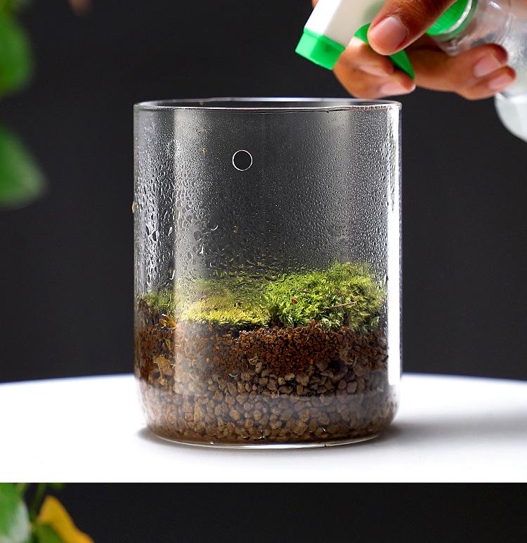 Dew Collection Mini Ecosystem: Moss Terrarium Glass Cover Decor