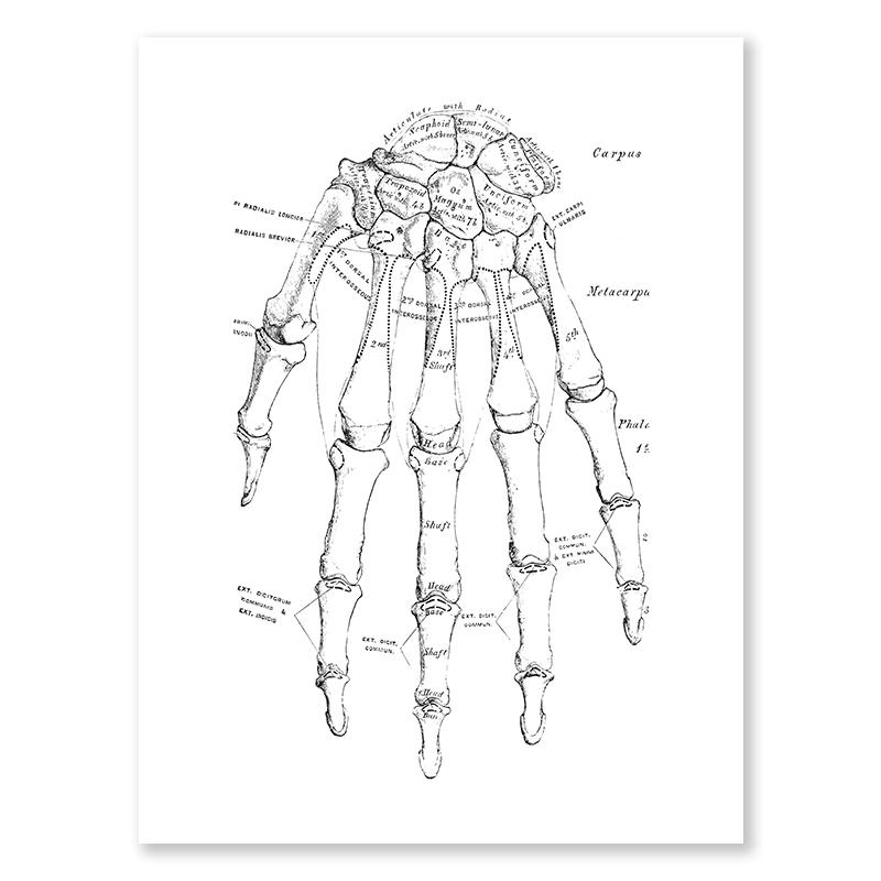 Black Skull Creative Wall Art Moon Kitten Scandinavian Poster Halloween Canvas Painting Wall Living Room Home Decoration