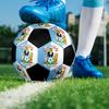 Coventry City Football Club Soccer Ball Size 5 Colorful Machine Stitched PVC Competition Ready Durable High-Bounce