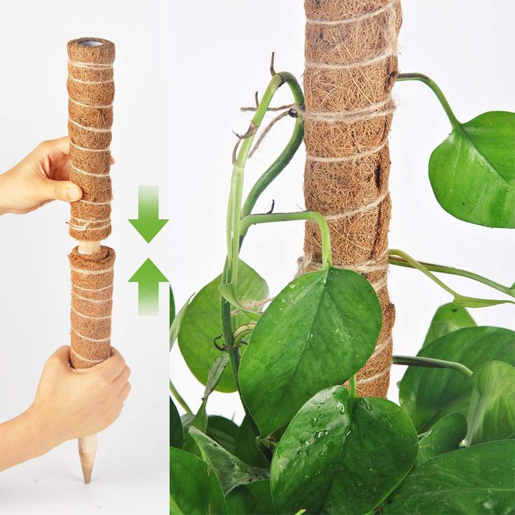 1pc Plant Vine Traction Climbing Post Natural Coconut Palm Rod Can Be Freely Combined with Splicing Garden Pillar