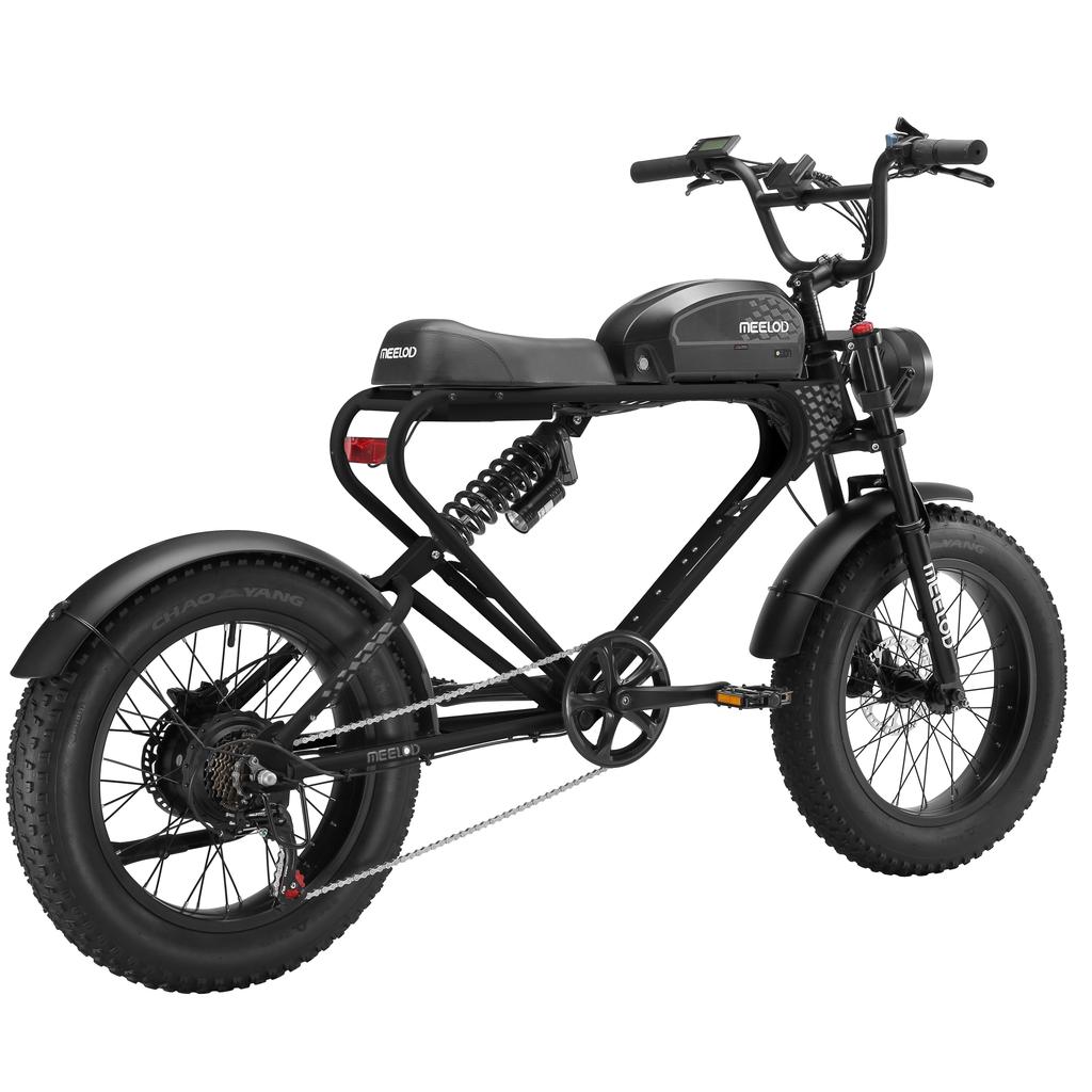 MEELOD DK300PLUS Adult Electric Bicycle 750W Motor 48V20Ah Battery Electrical Road Bike 20" Fat Tire Retro Urban Commuting Mountain E-Bike