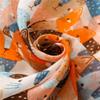 Bohemian Cat Pattern Tassel Scarf Long Animal Print Scarves Elegant Ethnic Style Wrap  Female