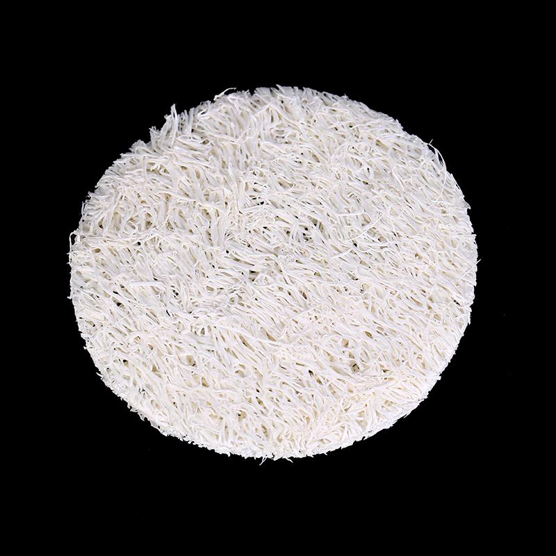 10X Natural Loofah Luffa Facial Complexion Skin Disc Disk Pads Exfoliator Sponge