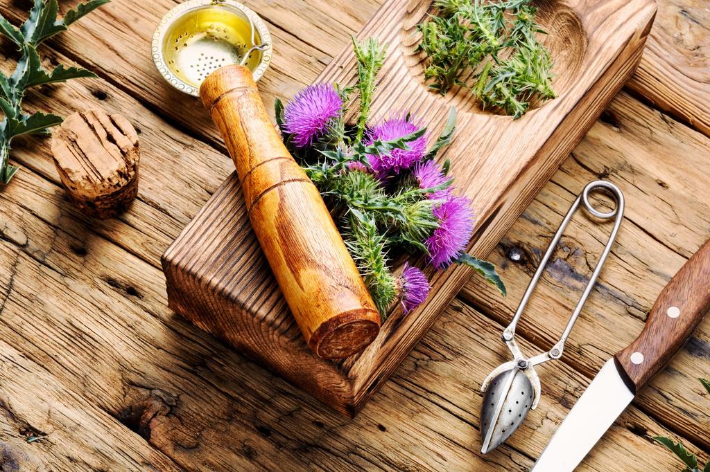 SAFLAX Garden in the Bag - Расторопша пятнистая - 75 семян - С субстратом в подходящем стоячем пакете - Расторопша пятнистая