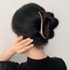 Fashion Brushed Metal Hairpin Barrettes Simple S Shaped Geometric Long Hair Claw Clips Accesorios Mujer Pince Cheveux