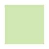 Crayons - Derwent - Pale Olive Pastel (490) - Soft Texture - Green Color - Mixed