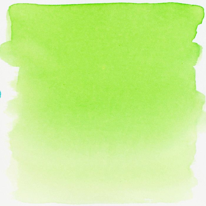 Encre aquarelle liquide - Royal Talens - Ecoline - 30 ml - Vert Clair - Haute qualité