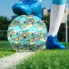 The Octonauts Theme Size 5 Soccer Ball, Suitable for Both Indoor and Outdoor Matches, a Gift Suitable for Everyone.