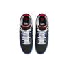 Nike x NBA Ishod Wair Premium SB '75th Anniversary' Men's DM0752-002