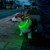 Новый светодиодный ошейник для собак 70 см с USB-подзарядкой для маленьких, средних и крупных собак