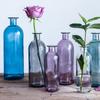 Living Room Glass Bottle Flower Decoration Flower Vase Glass Vase Table Decor Home Decoration