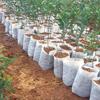 100x Degradable Non-Woven Plant Nursery Bags Planting Bags Home Garden Supply