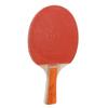 Table Tennis Paddles Ball Set Sweat Absorption Comfortable Touch Fast Speed Uniform Elasticity for Beginner Amateurs