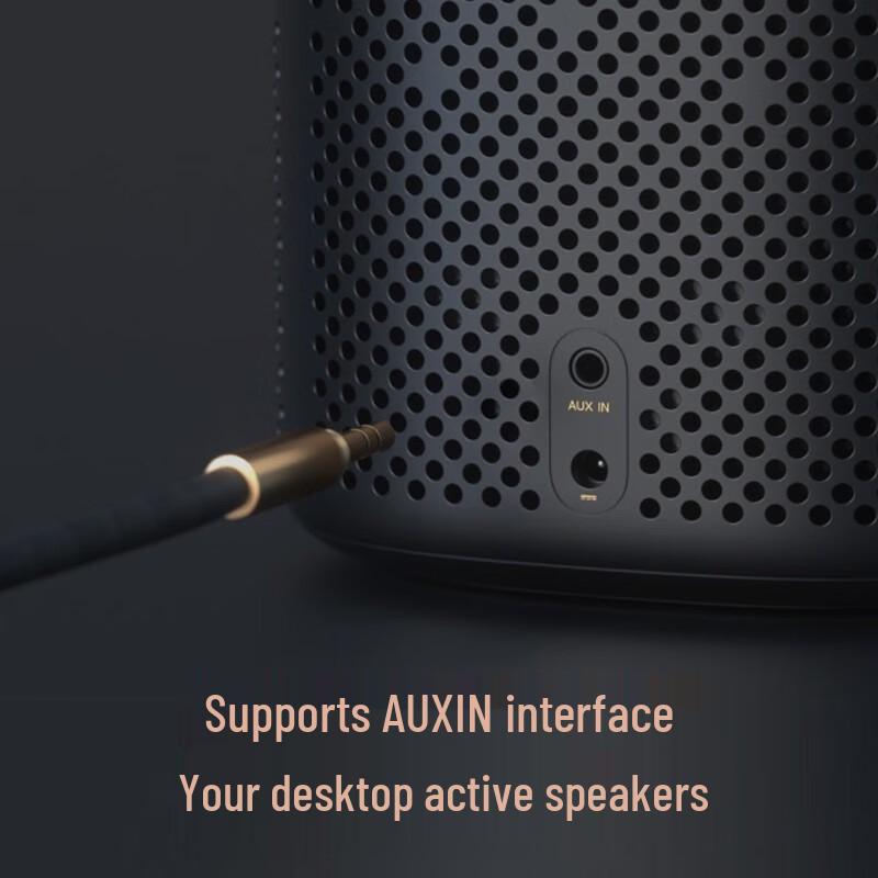 Xiaomi Xiao Ai Speaker Pro