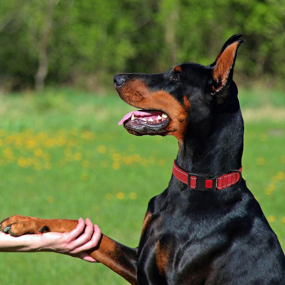 Ошейники для щенков домашних животных XS SML Регулируемый мягкий ошейник унисекс для собак Светоотражающий нейлоновый ошейник