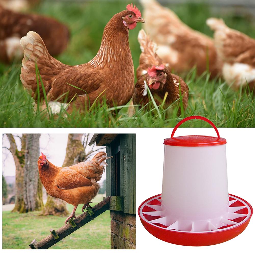 1КГ Автоматическая кормушка для кур Ведро Петух Курица Кормление Сельскохозяйственное животное Устройство, Принадлежности Птица Qu G2E3