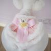 Pet Autumn/Winter Plush Lace Strap Dress Cute Bear Coat Woolen Strap Bear Skirt Teddy Bear Puppy Clothes for Small Dogs