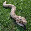 Realistic Python Plush Toys Stuffed Animal Toys Spoof Plush Snake Doll Home Plushies Ornaments Snake Toys for Children
