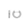 Boucles D'oreilles Luxenter En Argent 925 Avec Zircons Brillants Plaqués Finition En Rhodié - Yued